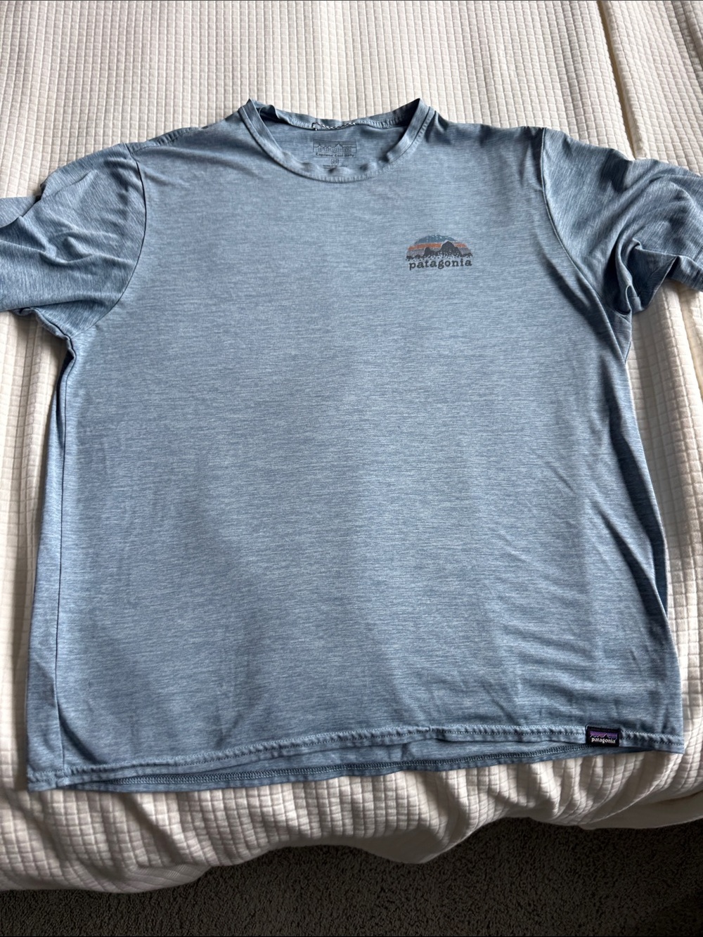 Men’s Patagonia Heathered Sky Blue Crewneck Tee